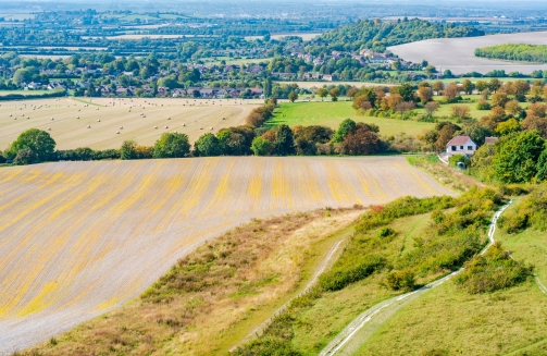 BedfordshireEvent Management'